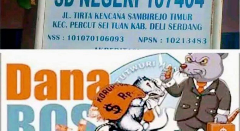 foto slider headline