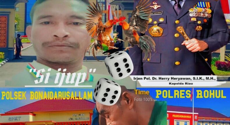 foto slider headline