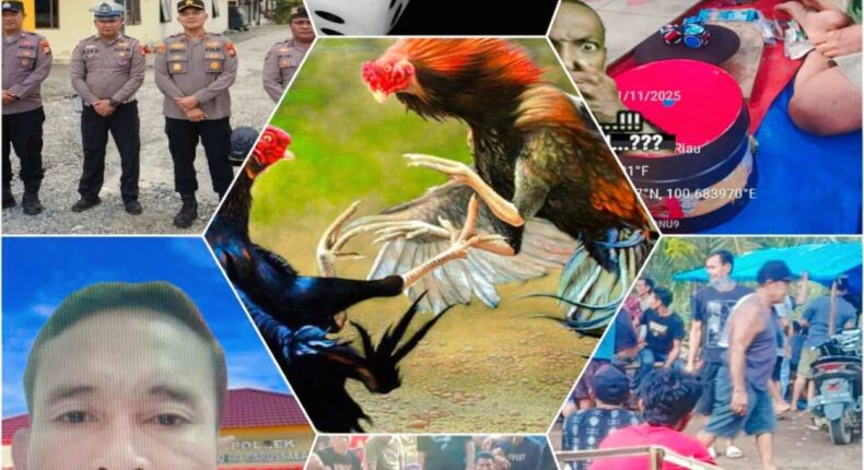 foto slider headline