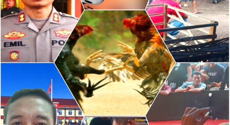 foto slider headline