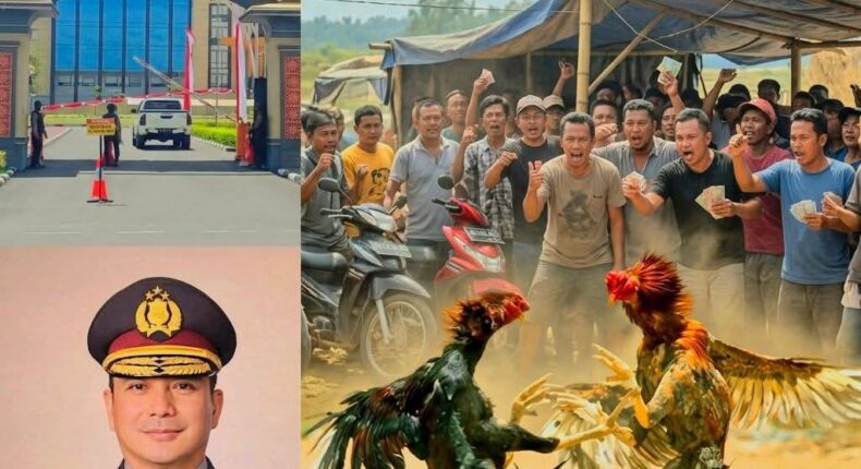 foto slider headline