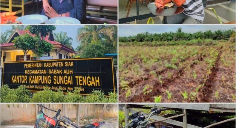 foto slider headline