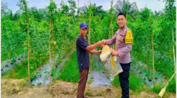 Bhabinkamtibmas Desa Angkasa Hadir di Tengah Petani, Wujud Nyata Polri Dukung Ketahanan Pangan Nasional