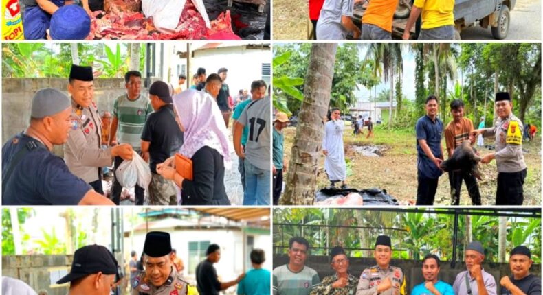 foto slider headline