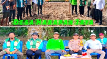 Polsek Pangkalan Kuras Dampingi KUD Sawit Harapan Jaya Tanam Jagung 3 Hektar program ketahanan pangan