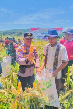 berita-rekomendasi-foto