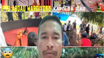 LAPOR PAK KAPOLDA! JUDI SABUNG AYAM, DADU DAN JUDI QIU-QIU DIDUGA MILIK “SIIJUP & SIJOHN” KIAN MENGGILA DI SONTANG! WARGA MUKA, KAPOLSEK BUNGKAM SAAT DI KONFIRMASI