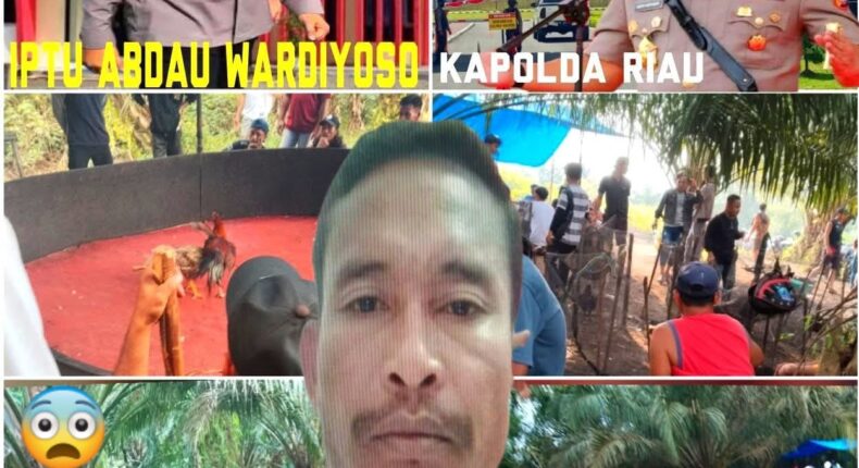 foto slider headline