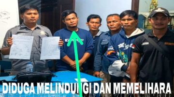 PT.MERIDAN SEJATI SURYA PLANTATION/ANAK PERUSAHAAN SURYA DUMAI GROUP DIDUGA MELINDUNGI DAN MEMELIHARA SEORANG “PERAMPOK/BEGAL”
