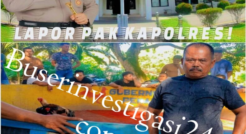 foto slider headline
