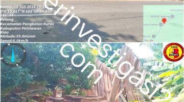 Berkedok Usaha Mebel “RUSTAM” Menimbun Kayu Diduga Hasil “ilegal Logging” di Betung, Publik Desak Aparat Bertindak Tegas! 