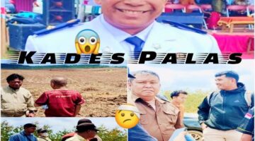 LAHAN ULAYAT 2.090 HEKTARE DI DESA PALAS JADI SOROTAN: KADES SAMSARI DITUDING, PT ARARA ABADI DISOROT — APARAT DITANTANG BUKA-BUKAAN