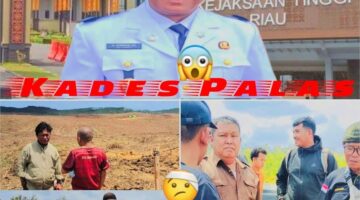 2.090 HEKTARE LAHAN ULAYAT PALAS MEMANAS! Dugaan Panjar Fantastis Mencuat, Aktivitas Panen Akasia Disorot — APH DITANTANG BONGKAR SIAPA YANG BERMAIN