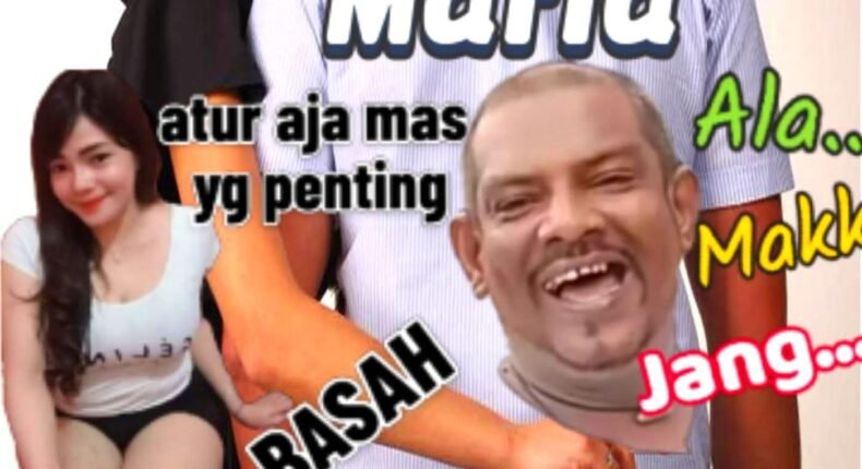 foto slider headline